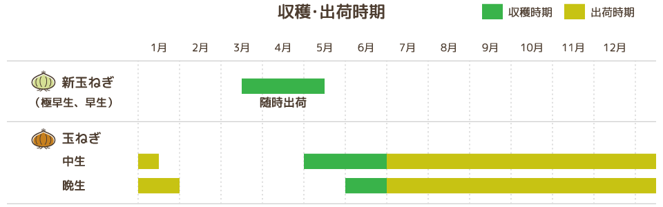 収穫・出荷時期